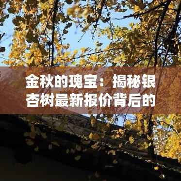 金秋的瑰宝:揭秘银杏树最新报价背后的故事