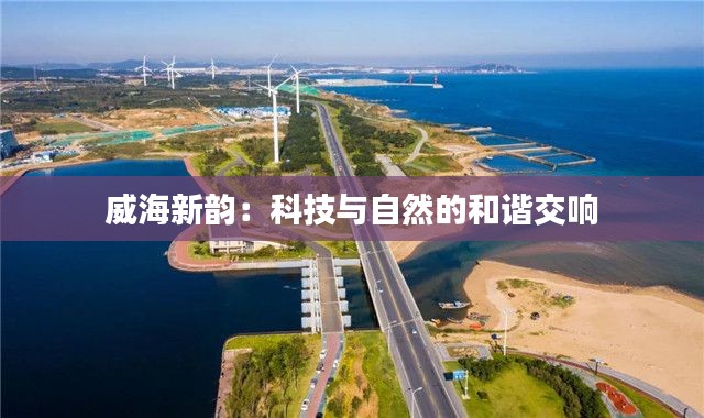 优势与实力 第298页