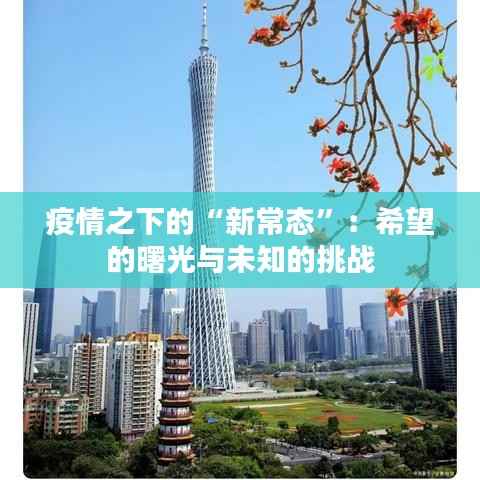疫情之下的“新常态”：希望的曙光与未知的挑战