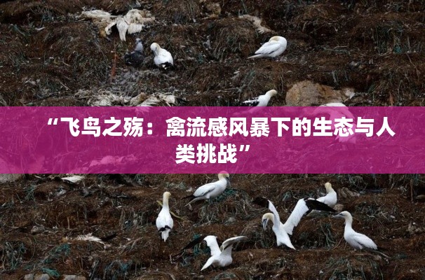“飞鸟之殇：禽流感风暴下的生态与人类挑战”