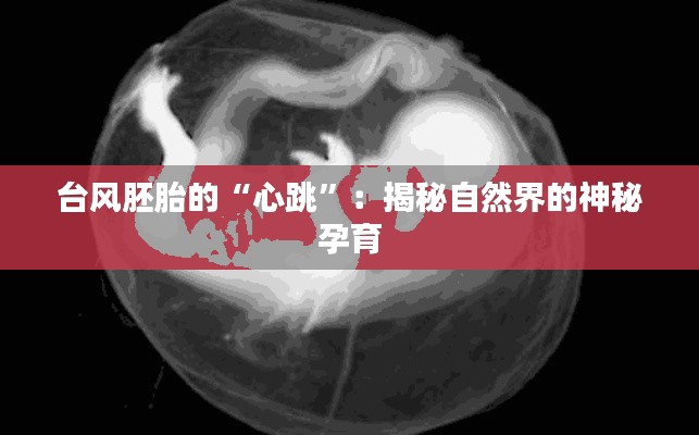 台风胚胎的“心跳”:揭秘自然界的神秘孕育