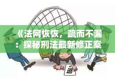 《法网恢恢，疏而不漏：探秘刑法最新修正案的智慧之光》