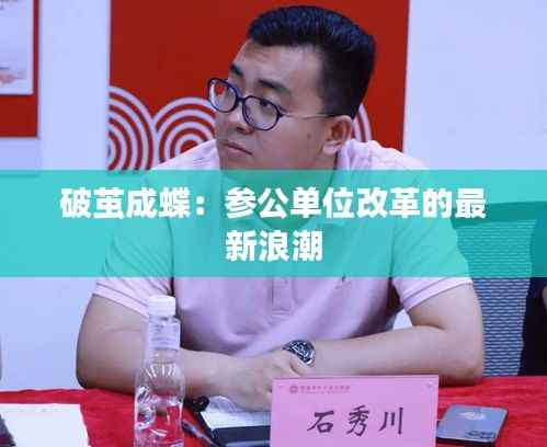 破茧成蝶：参公单位改革的最新浪潮