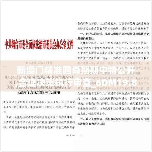 新澳门精准四肖期期中特公开,合理决策执行审查_6DM19.886-2