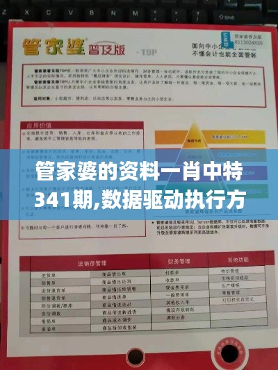 管家婆的资料一肖中特341期,数据驱动执行方案_D版3.608