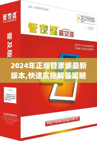 2024年正版管家婆最新版本,快速实施解答策略_专属版10.256