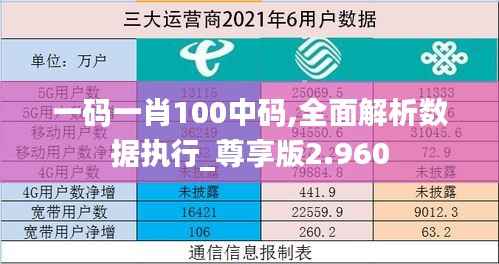一码一肖100中码,全面解析数据执行_尊享版2.960