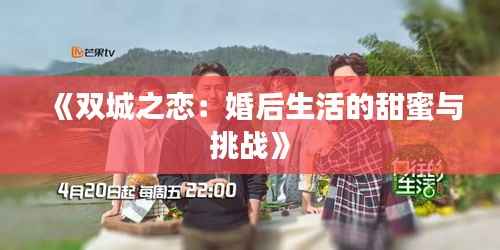 《双城之恋：婚后生活的甜蜜与挑战》