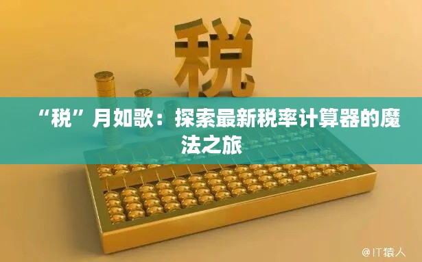 “税”月如歌:探索最新税率计算器的魔法之旅