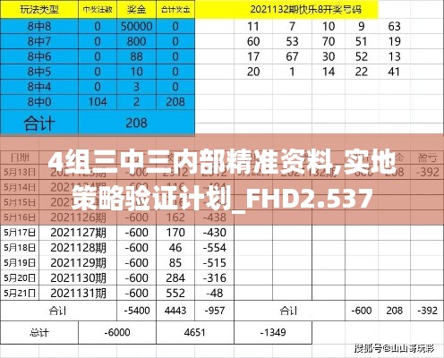4组三中三内部精准资料,实地策略验证计划_FHD2.537