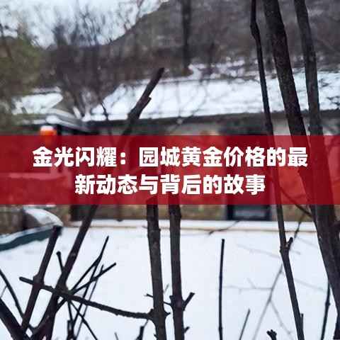 金光闪耀：园城黄金价格的最新动态与背后的故事