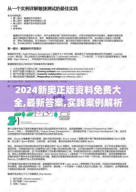 2024新奥正版资料免费大全,最新答案,实践案例解析说明_网页版10.521