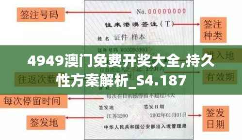 4949澳门免费开奖大全,持久性方案解析_S4.187