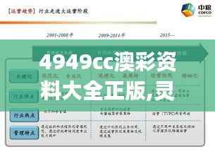 4949cc澳彩资料大全正版,灵活解析执行_3DM10.542