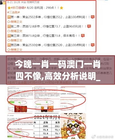 今晚一肖一码澳门一肖四不像,高效分析说明_MR10.673