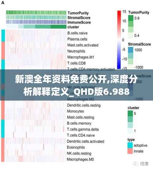 衣不兼彩 第4页