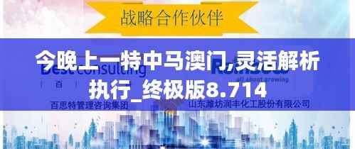 今晚上一特中马澳门,灵活解析执行_终极版8.714