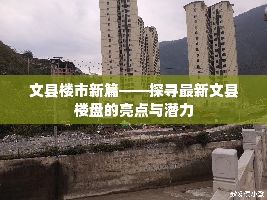 文县楼市新篇——探寻最新文县楼盘的亮点与潜力