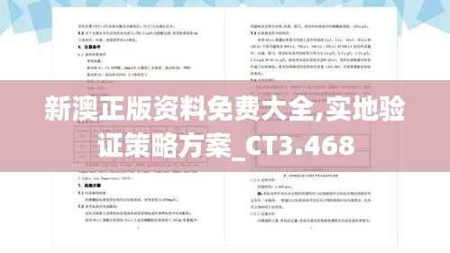 新澳正版资料免费大全,实地验证策略方案_CT3.468