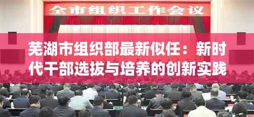 芜湖市组织部最新似任：新时代干部选拔与培养的创新实践