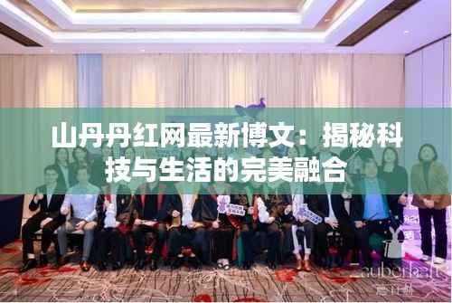 山丹丹红网最新博文:揭秘科技与生活的完美融合