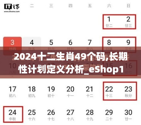 2024十二生肖49个码,长期性计划定义分析_eShop12.864