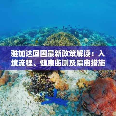 雅加达回国最新政策解读:入境流程、健康监测及隔离措施全解析