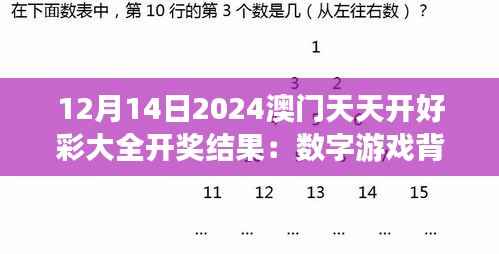 12月14日2024澳门天天开好彩大全开奖结果：数字游戏背后的哲学