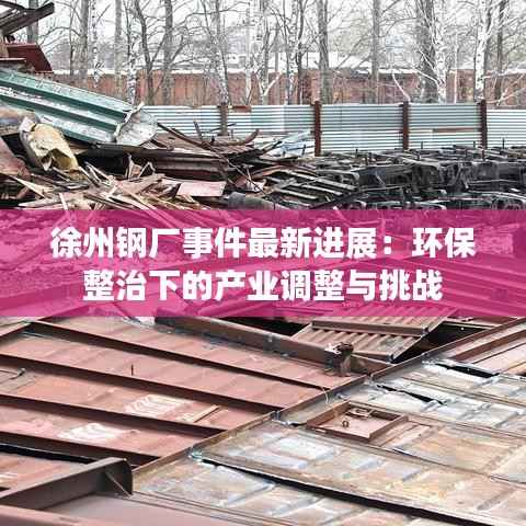 徐州钢厂事件最新进展:环保整治下的产业调整与挑战