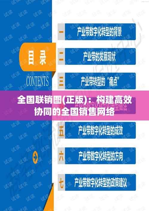 全国联销图(正版)：构建高效协同的全国销售网络