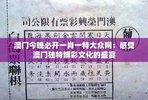 澳门今晚必开一肖一特大众网:感受澳门独特博彩文化的盛宴