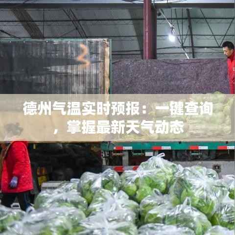 德州气温实时预报:一键查询,掌握最新天气动态
