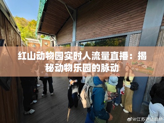 红山动物园实时人流量直播:揭秘动物乐园的脉动