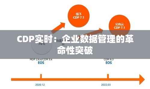 CDP实时:企业数据管理的革命性突破