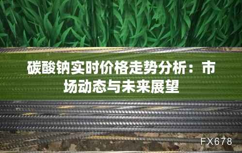 碳酸钠实时价格走势分析:市场动态与未来展望