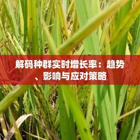 解码种群实时增长率：趋势、影响与应对策略