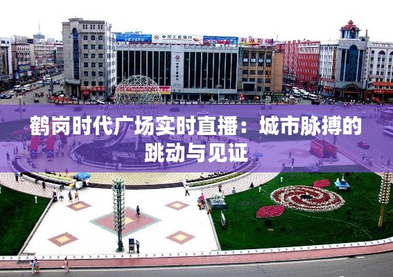 鹤岗时代广场实时直播:城市脉搏的跳动与见证