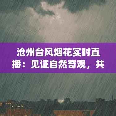 沧州台风烟花实时直播：见证自然奇观，共筑安全防线
