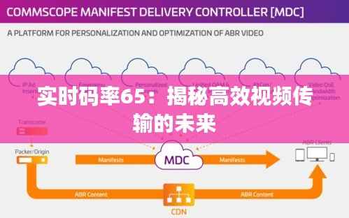 实时码率65:揭秘高效视频传输的未来