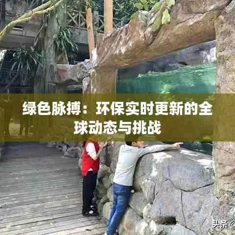 绿色脉搏：环保实时更新的全球动态与挑战