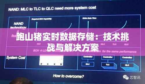 跑山猪实时数据存储:技术挑战与解决方案