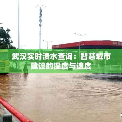 武汉实时渍水查询:智慧城市建设的温度与速度