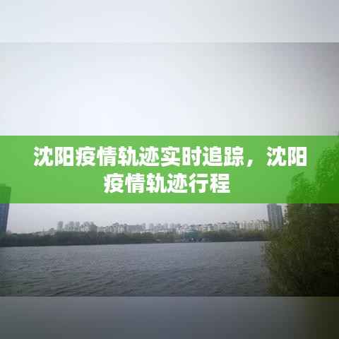 沈阳疫情轨迹实时追踪,沈阳疫情轨迹行程