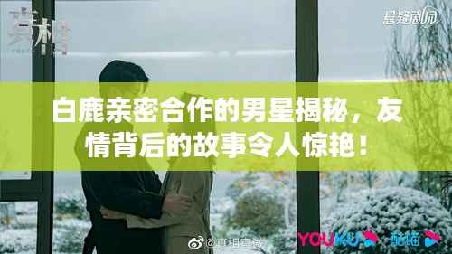 白鹿亲密合作的男星揭秘,友情背后的故事令人惊艳!