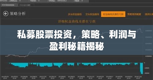 私募股票投资,策略、利润与盈利秘籍揭秘