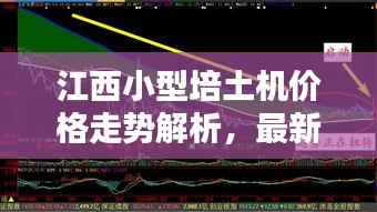 江西小型培土机价格走势解析,最新行情一目了然
