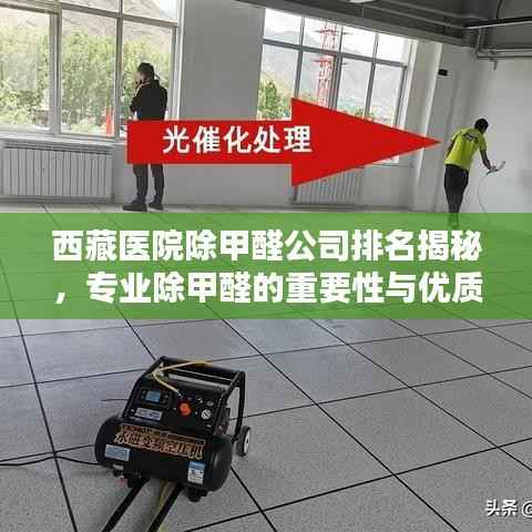 西藏医院除甲醛公司排名揭秘，专业除甲醛的重要性与优质服务选择