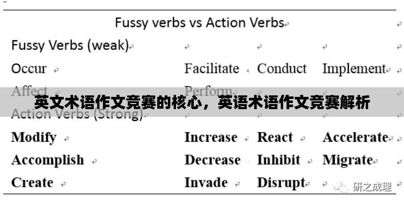 英文术语作文竞赛的核心,英语术语作文竞赛解析