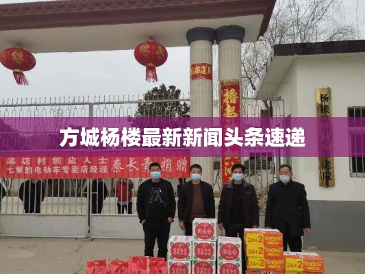 方城杨楼最新新闻头条速递
