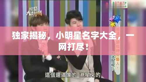 独家揭秘,小明星名字大全,一网打尽!